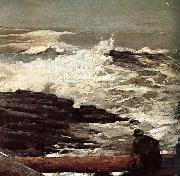 Winslow Homer, Driftwood